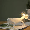 Lampe Animaux Lézard