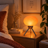 Lampe Champignon Retro