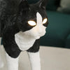 Lampe Chat Led