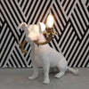 Lampe Chien