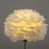 Lampe en Plume